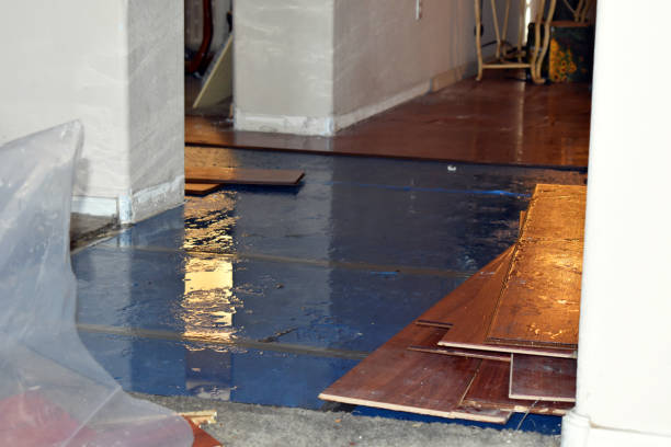 Professional Basement Water Removal technician working in Easton, CT