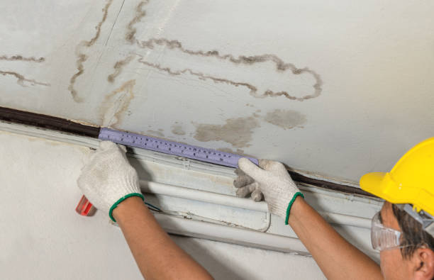 Reliable Basement Water Removal contractor in Easton, CT by Water Damage Irwin